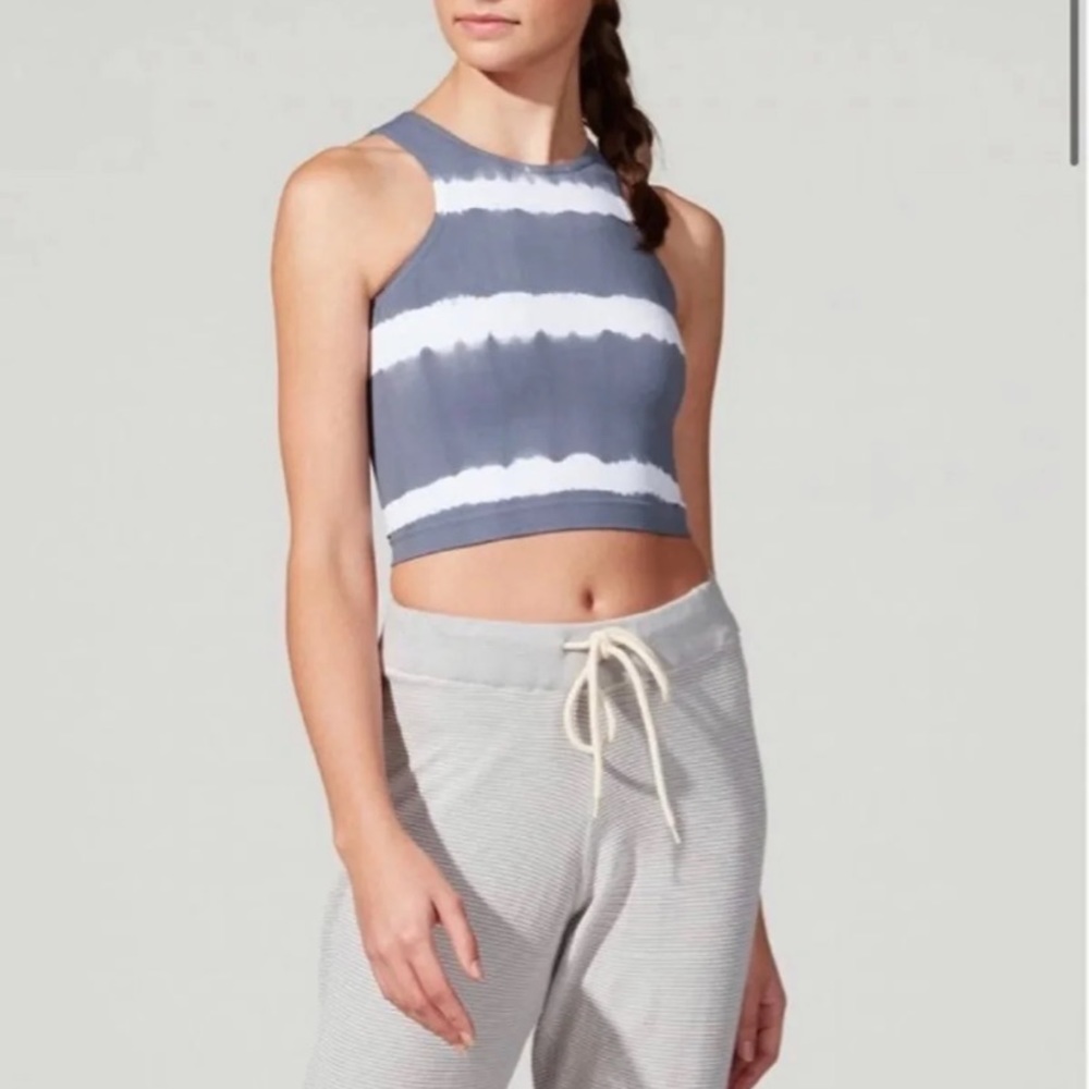 Phat budda workout top crop! XS/smallphat budda X Barry’s boot camp